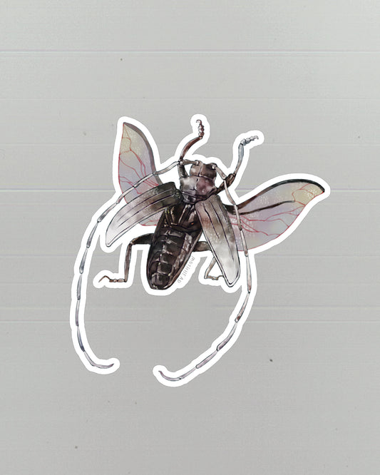 Beetle Vinyl Sticker